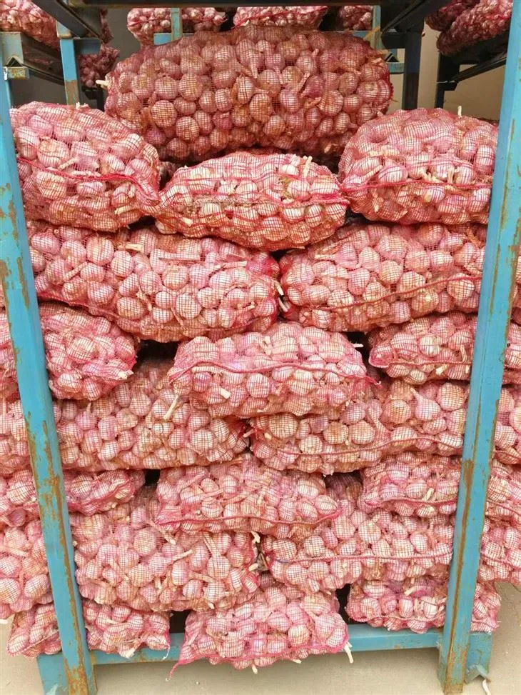 2025 New Garlic 2025 New Garlic