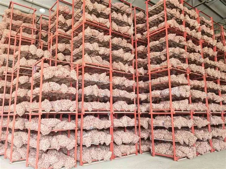 2025 New Garlic 2025 New Garlic