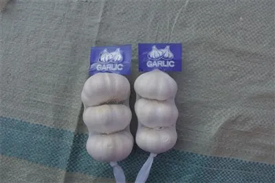 Friss nyers fokhagyma